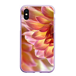 Чехол iPhone XS Max матовый Оранжевые георгины лепестки, цвет: 3D-сиреневый