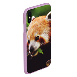 Чехол iPhone XS Max матовый Красная милая панда, цвет: 3D-сиреневый — фото 2