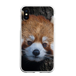 Чехол iPhone XS Max матовый Крaсная панда, цвет: 3D-белый