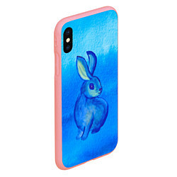 Чехол iPhone XS Max матовый Водяной кролик символ 2023, цвет: 3D-баблгам — фото 2