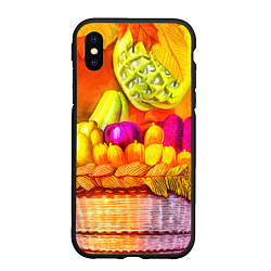 Чехол iPhone XS Max матовый Спелые фрукты и овощи в плетеной корзине, цвет: 3D-черный