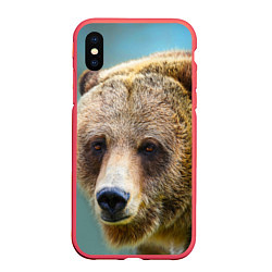Чехол iPhone XS Max матовый Русский бурый медведь, цвет: 3D-красный