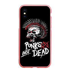 Чехол iPhone XS Max матовый Punks not dead - анархия, цвет: 3D-баблгам