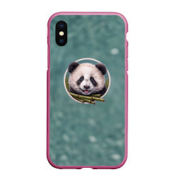Чехол iPhone XS Max матовый Милая мордочка панды с бамбуком, цвет: 3D-малиновый