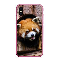 Чехол iPhone XS Max матовый Красная панда в дереве, цвет: 3D-малиновый