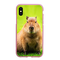 Чехол iPhone XS Max матовый Capybara on green grass, цвет: 3D-розовый