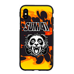 Чехол iPhone XS Max матовый Sum41 рок панда и огонь, цвет: 3D-черный