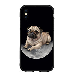 Чехол iPhone XS Max матовый Мопс и луна, цвет: 3D-черный