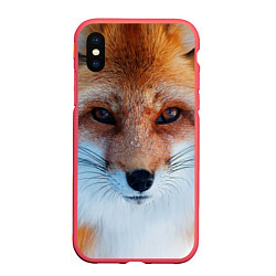 Чехол iPhone XS Max матовый Взгляд лисы, цвет: 3D-красный