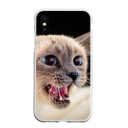 Чехол iPhone XS Max матовый Глазастый котик
