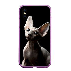Чехол iPhone XS Max матовый Котик сфинкс, цвет: 3D-фиолетовый