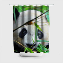 Шторка для душа Панда в лесу, цвет: 3D-принт
