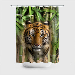 Шторка для душа Матёрый тигр в зарослях бамбука, цвет: 3D-принт