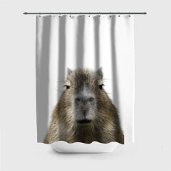 Шторка для душа Капибара пофигист, цвет: 3D-принт
