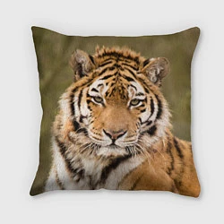 Подушка квадратная Милый тигр, цвет: 3D-принт