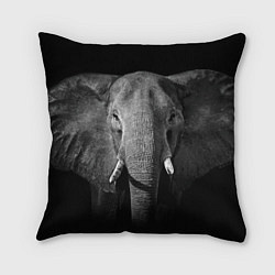 Подушка квадратная Взгляд слона, цвет: 3D-принт