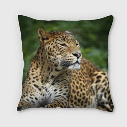 Подушка квадратная Лик леопарда, цвет: 3D-принт
