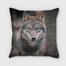 Подушка квадратная Волк - санитар леса, цвет: 3D-принт