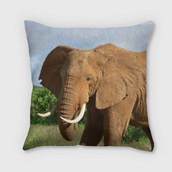 Подушка квадратная Рыжий слон, цвет: 3D-принт
