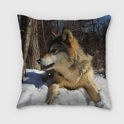 Подушка квадратная Волк лежит на снегу, цвет: 3D-принт
