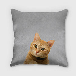 Подушка квадратная Рыжий котик, цвет: 3D-принт