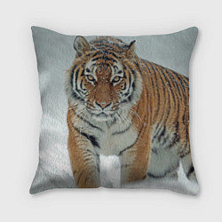 Подушка квадратная Тигр