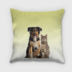Подушка квадратная Кошка и собака друзья, цвет: 3D-принт
