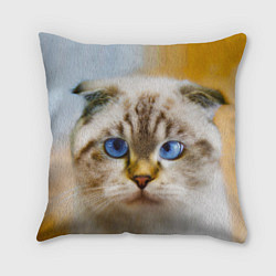 Подушка квадратная Кошка породы шотландская вислоухая косоглазая, цвет: 3D-принт