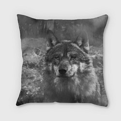 Подушка квадратная Серый волк на сером фоне, цвет: 3D-принт