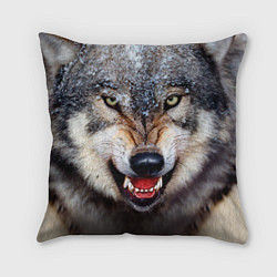 Подушка квадратная Взгляд волка, цвет: 3D-принт