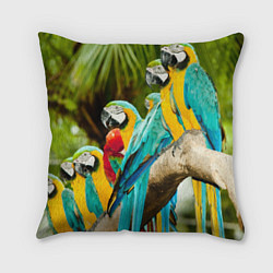 Подушка квадратная Попугаи на ветке, цвет: 3D-принт