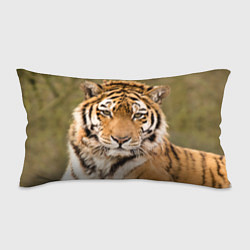 Подушка-антистресс Милый тигр, цвет: 3D-принт