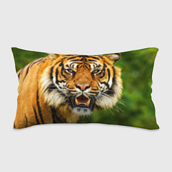 Подушка-антистресс Тигр, цвет: 3D-принт