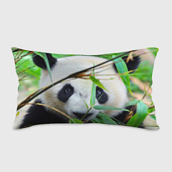Подушка-антистресс Панда в лесу, цвет: 3D-принт