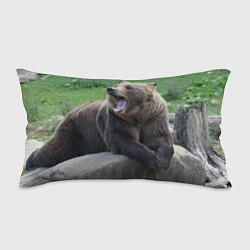 Подушка-антистресс Медведь