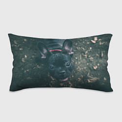 Подушка-антистресс Бульдог морда собакена черного, цвет: 3D-принт