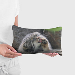 Подушка-антистресс Манул Лапка, цвет: 3D-принт — фото 2