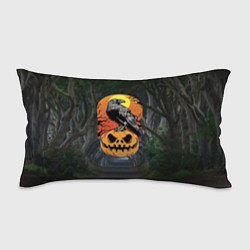 Подушка-антистресс Ворон, сидящий на тыкве - Halloween, цвет: 3D-принт