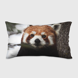 Подушка-антистресс Малая панда, цвет: 3D-принт