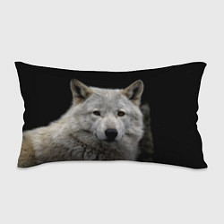 Подушка-антистресс Серый волк на темном фоне, цвет: 3D-принт