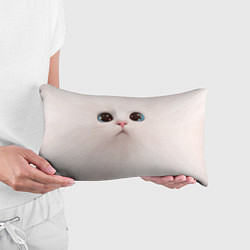 Подушка-антистресс Милый кот с большими глазами, цвет: 3D-принт — фото 2