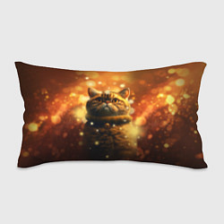 Подушка-антистресс Толстый кот - Экзот