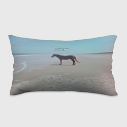 Подушка-антистресс Лошадь почему мем на берегу, цвет: 3D-принт