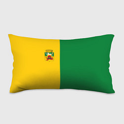 Подушка-антистресс Новокузнецк, зелёно-жёлтый, герб и надпись на спин, цвет: 3D-принт