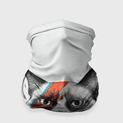 Бандана-труба David Bowie: Grumpy cat, цвет: 3D-принт