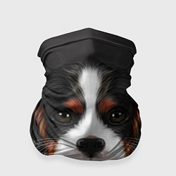 Бандана-труба Cavalier King Charles, цвет: 3D-принт