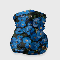 Бандана-труба Поле синих цветов фиалки лето, цвет: 3D-принт
