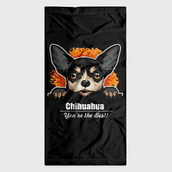 Бандана-труба Чихуахуа Chihuahua, цвет: 3D-принт — фото 2
