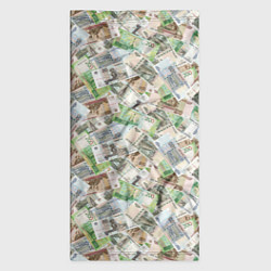 Бандана-труба Деньги РФ Рубли, цвет: 3D-принт — фото 2