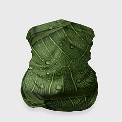 Бандана-труба Текстура зелёной листы, цвет: 3D-принт